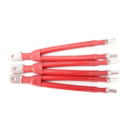 Nuovo cablaggio per batterie energetiche da 10 mm2 a 95 mm2 con conduttore di rame stagnato e isolamento in silicone XLPE per sistemi di stoccaggio dell'energia